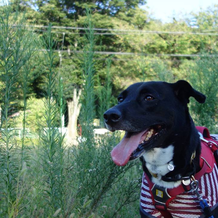 C4936f57 c805 4e70 b227 dd57619f26c6 1599780110482