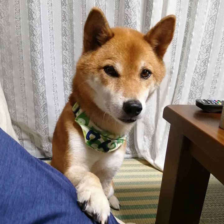 C4938ce6 c8e3 4005 a922 06d540ec6827 1596626463779