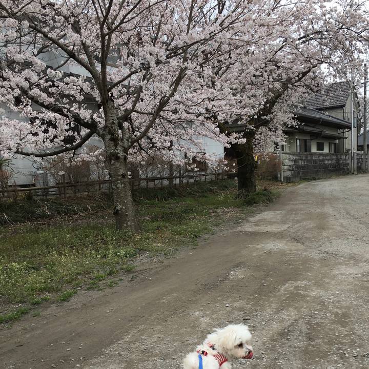 C49397cc 4ea2 4466 af47 cda7dea4ca50 1648723546723