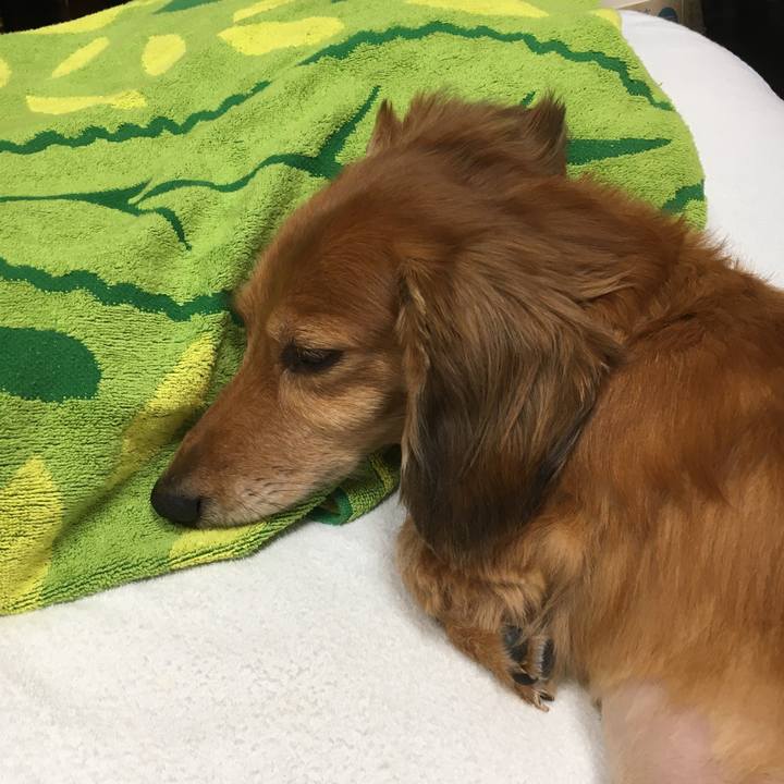 C493a00b 6a14 4484 8d65 dde4aebf152e 1572936089200