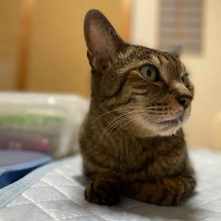 C493e89c 8b1c 4a34 8e80 e8d93bf7516d 1621820948559