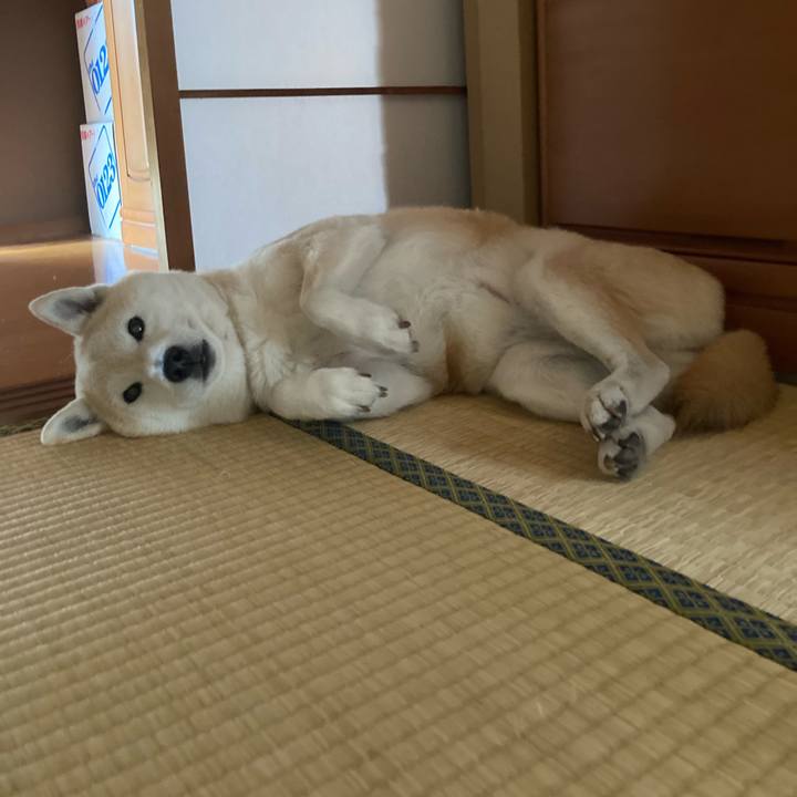 C4940577 9a2b 4137 a3b9 de0c28688aeb 1636298370418