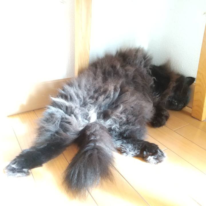 C4941be4 fbe2 4847 9ad7 ab7dc04d353d 1632205450659