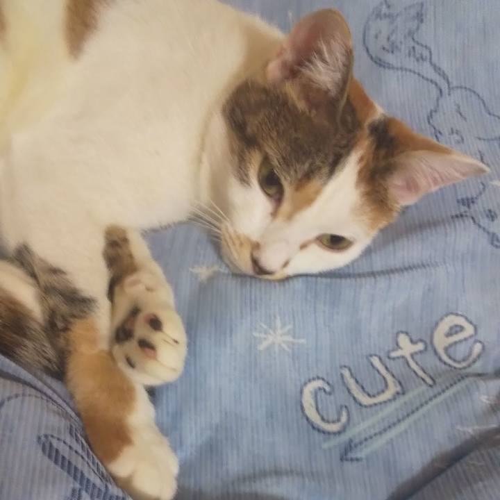 C4947a77 56b1 4abc bc5f d67ad3df8f8a 1664722142480