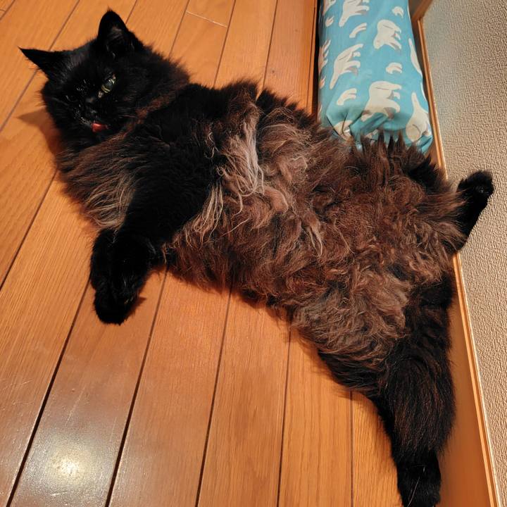 C494a428 e7ff 4bc6 87ef 64b5a84c84ee 1754912788958