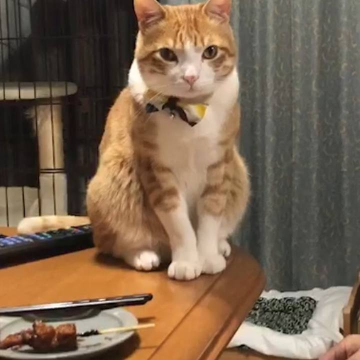 C494ab76 24d9 42f0 b219 e7c88ecfc4e8 1557405059044