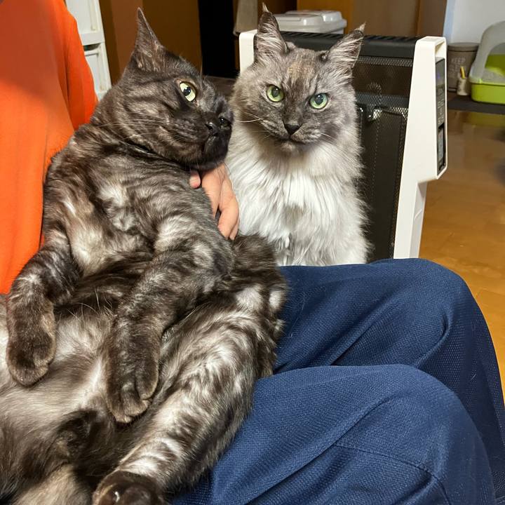 C494bd51 b77c 46dd 9126 8da10ba360d4 1738802395447