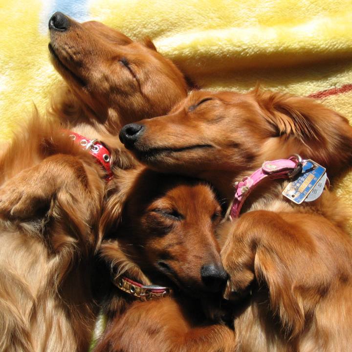 C49511b1 2d33 4106 8a8a f260287aaeac 1764165027562