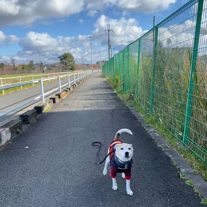 C4953456 0bd5 43a8 ac86 c69950d9c4cb 1639795163644