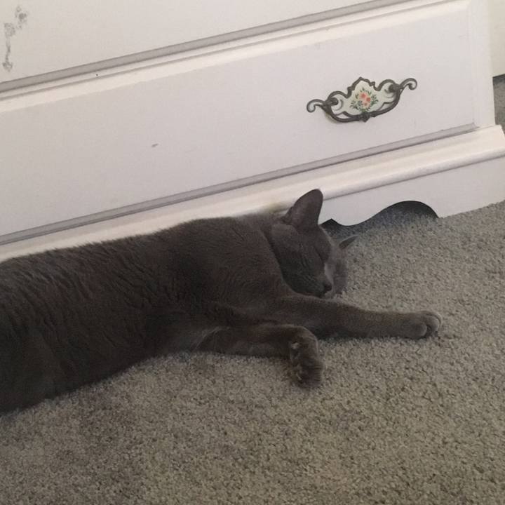 C4954197 8b43 4900 9713 36a366feeb86 1655428583403