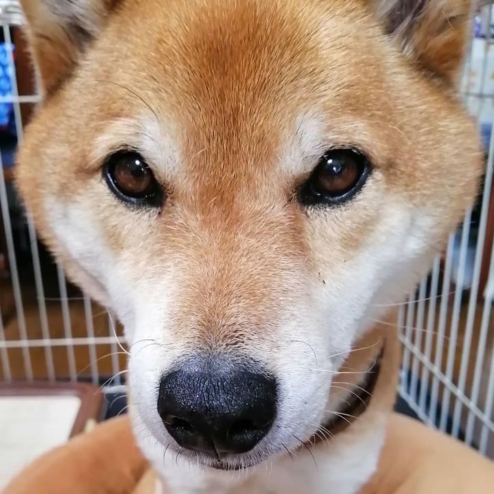 C495549d dab4 4a4f ad67 258ab6dfc60a 1616294289893