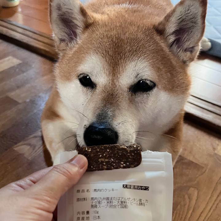 C4955f98 2806 4955 83e8 182fb1cfd6fb 1692079487945