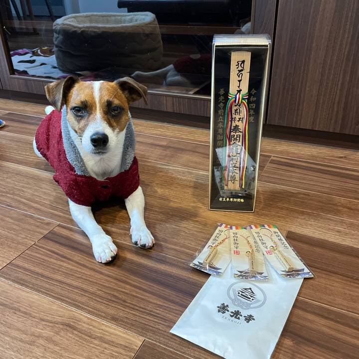 C495671a f709 4407 8b4f 548f7afc9327 1648894406087