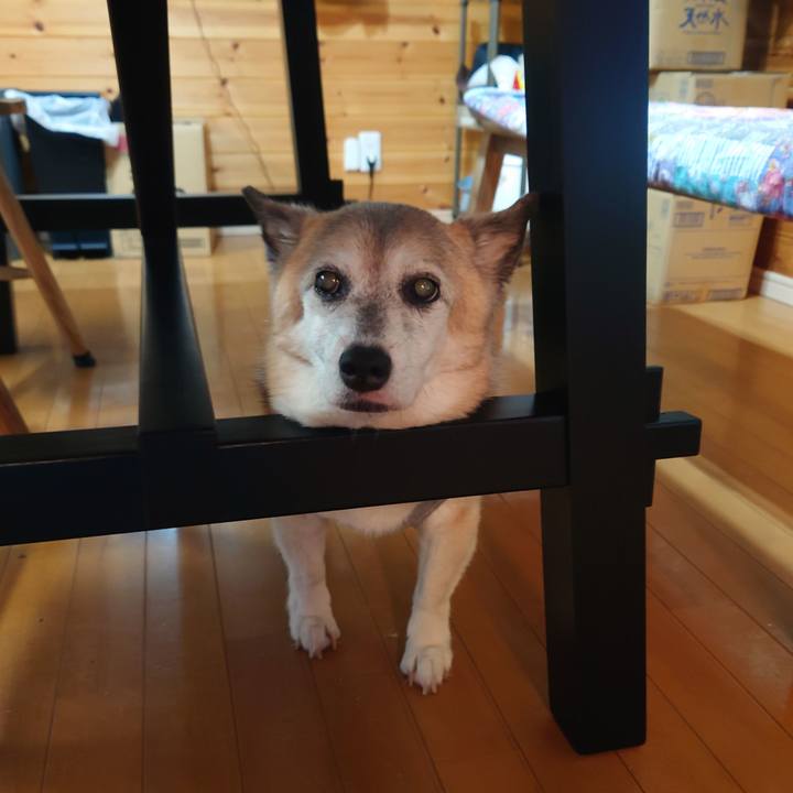 C4956792 beae 4d17 b645 786ff91340f1 1755057107125