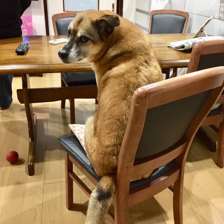 C49578fc 87ee 40c4 b3f9 df9469e85edf 1577007923550