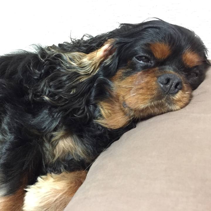 C49580e1 5405 44bf 8280 285b87d3d475 1526555575141