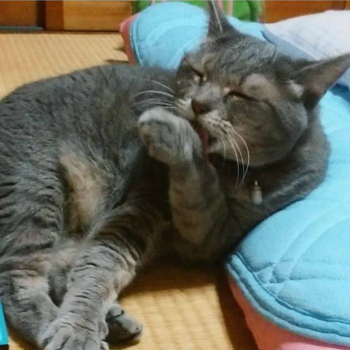 C4958c51 b96a 4041 8d7b 2e2d50748da7 1755860009082