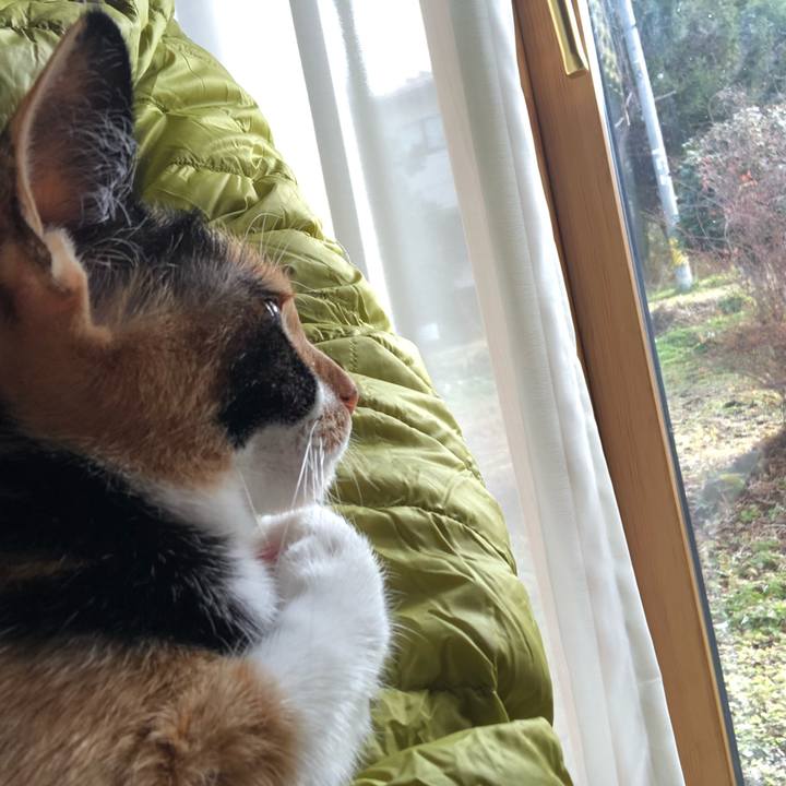 C4958cb8 9623 4020 a1d4 6ce405c33005 1545909217464