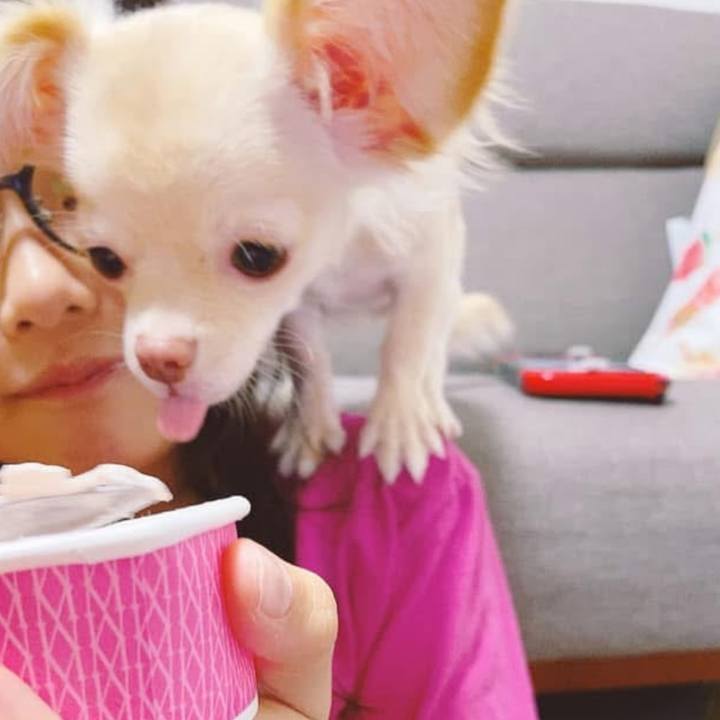 C4959240 525c 4698 b2fd d61937747e62 1753601102122