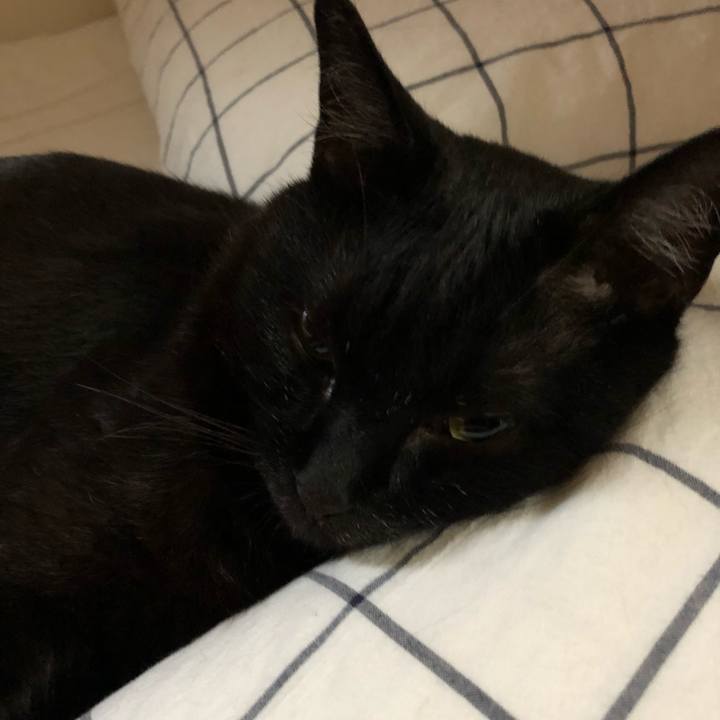 C495ed3b 8d6d 4d48 8b0d 600aadb17335 1528271249059