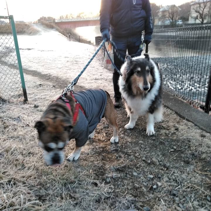 C495f765 0e5e 40b0 becc dcb034f12871 1549545081855