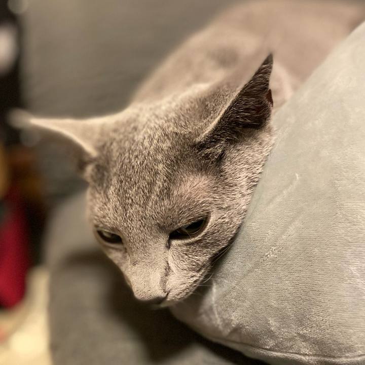 C495f94f 6e79 4787 affe 5357a563d594 1606053363416