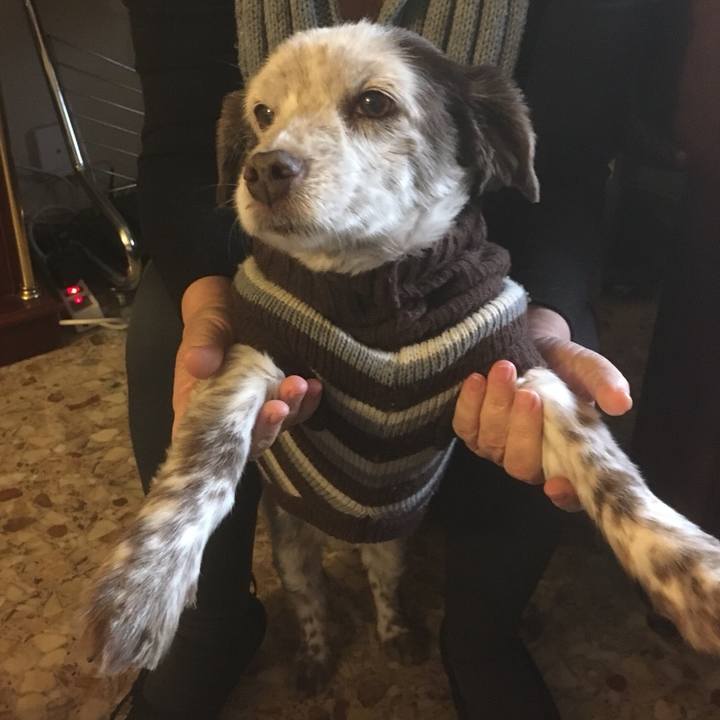 C496074f 6b06 4c17 aa5f 0fe8e2df9a5c 1512233330342