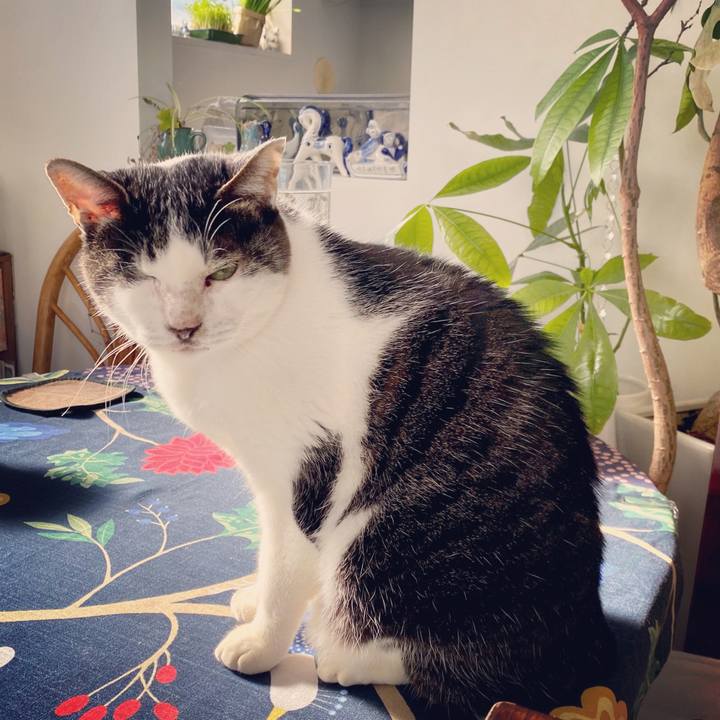 C4962bc8 f6e7 4908 8318 21251770d1b2 1577937044200