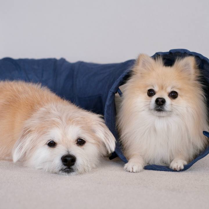 C496303d 0f68 4cfa 8d27 8af6a022b3f3 1771537125872