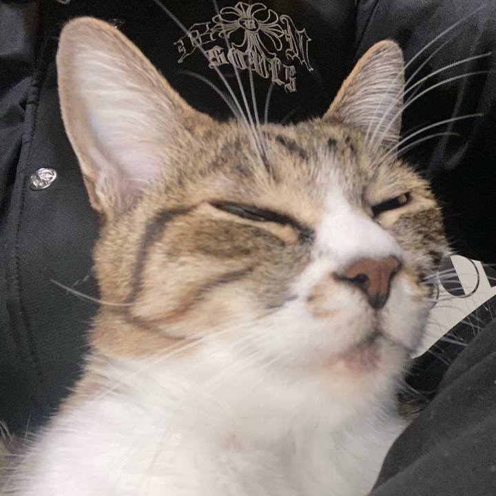 C4967a86 85b2 4e05 83ed 7ab98ad8fb4f 1608150713048