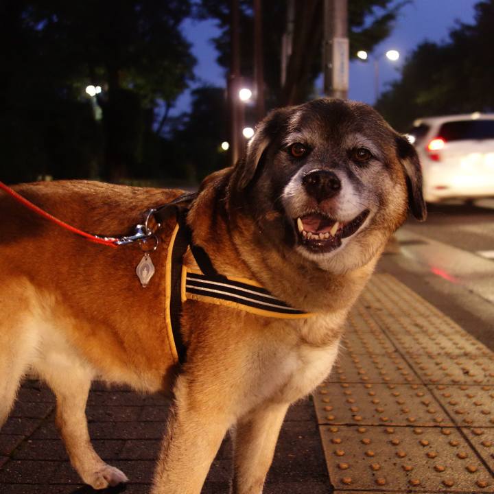 C4969d8b ca50 4d23 9cb3 e0abf4feb1ad 1529759746893