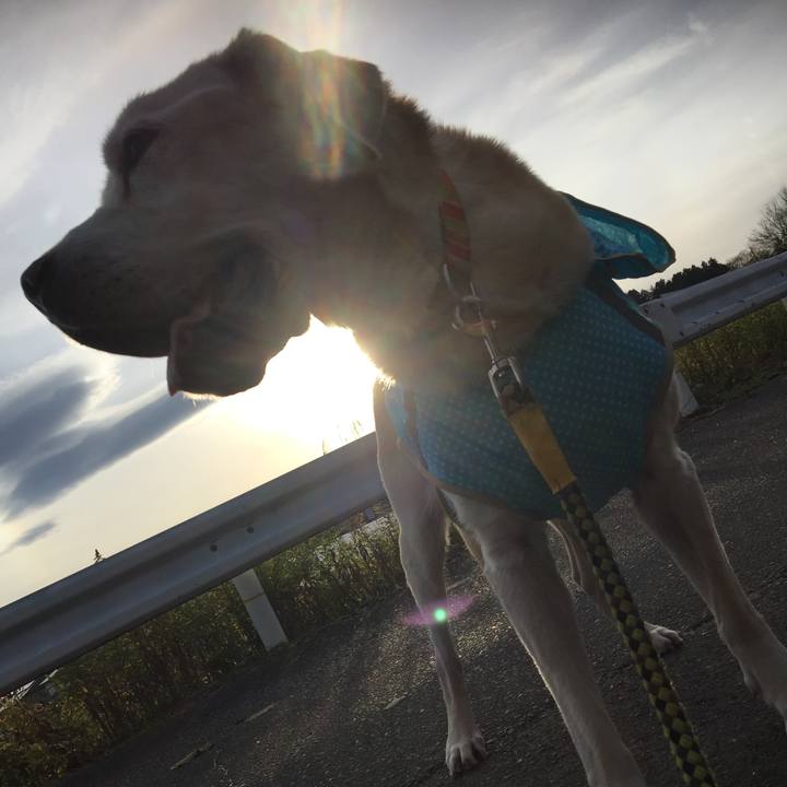 C496c6b9 04b1 4687 858c 6f893af780e6 1544943950508