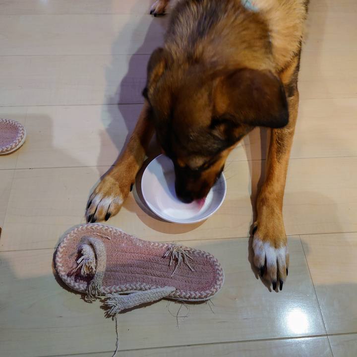 C496c853 7010 493f 9f9b d25eb7c66c72 1691985189214