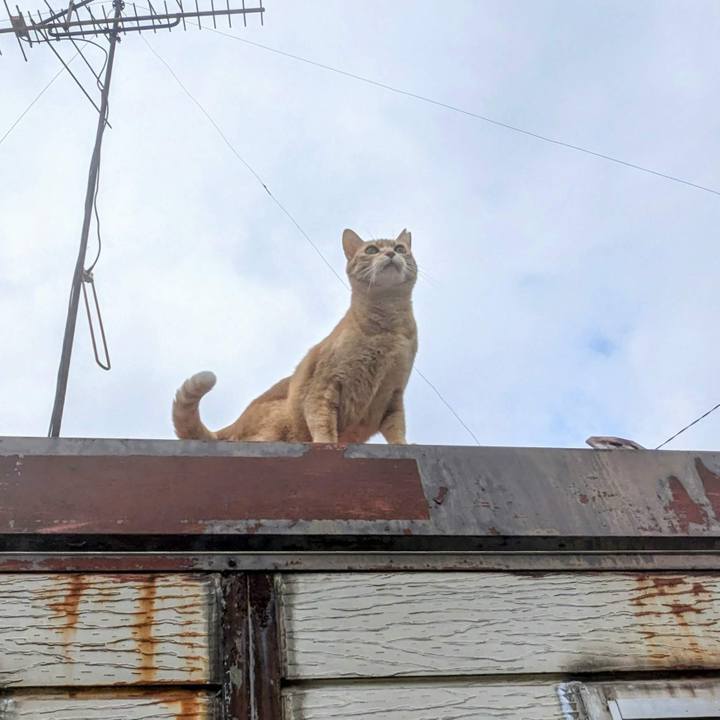 C496cbad b4ac 44ea b88f 6e498bab4b2a 1771140800813