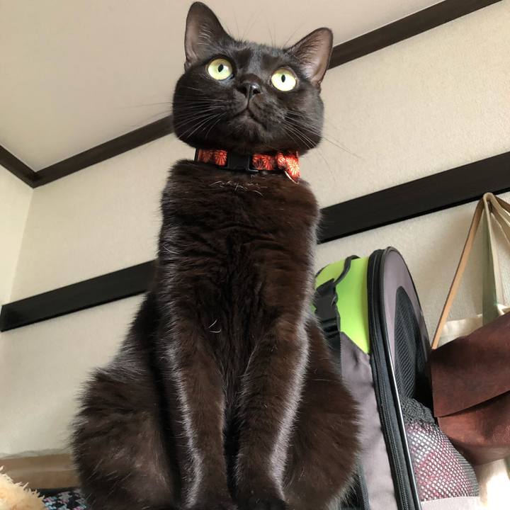 C496d8bf 77d5 4d4b 9a5d 76ef2059b758 1543709966123