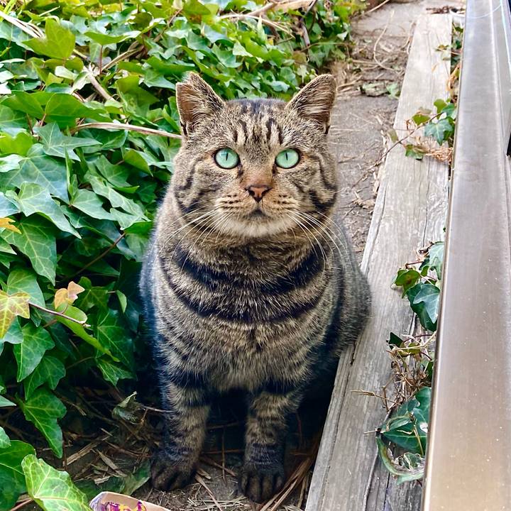 C496d8fe 83b8 42ab 8e09 6d8f04f787f5 1645750754323