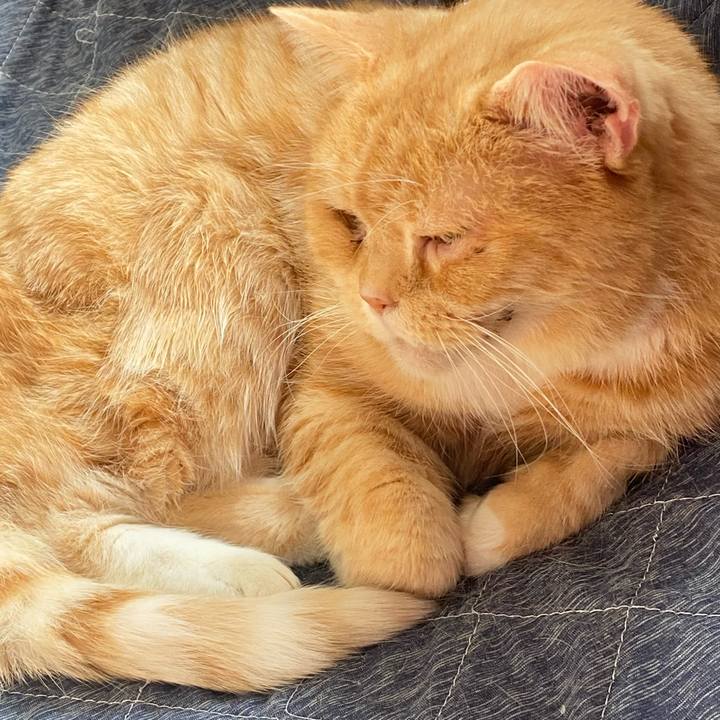 C496e146 cd45 4dd1 bb4f 4c6a487533b6 1643076648224