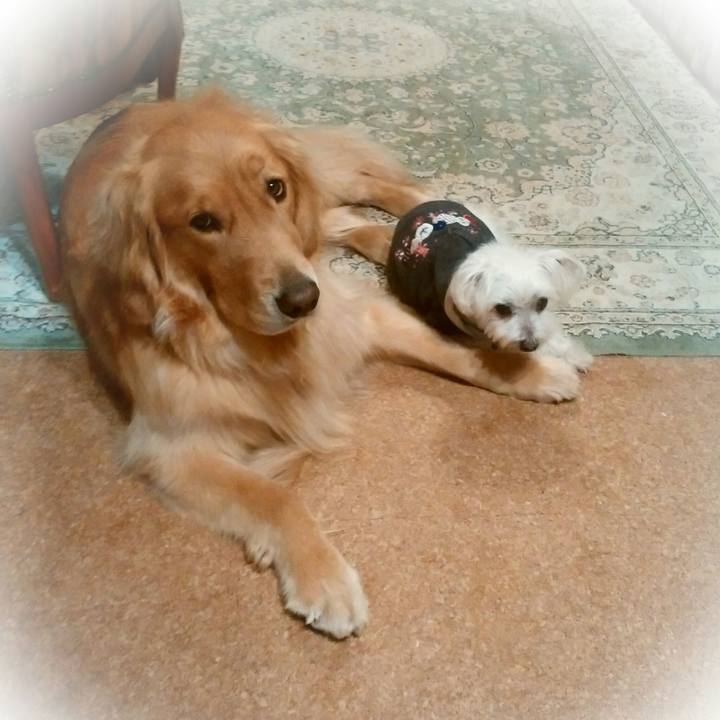 C4971a52 f26b 4c19 b418 007b3807b014 1511186528063