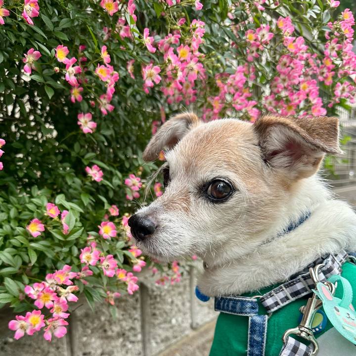 C4974315 bd1a 4270 91ef 925a423c242b 1747909825396