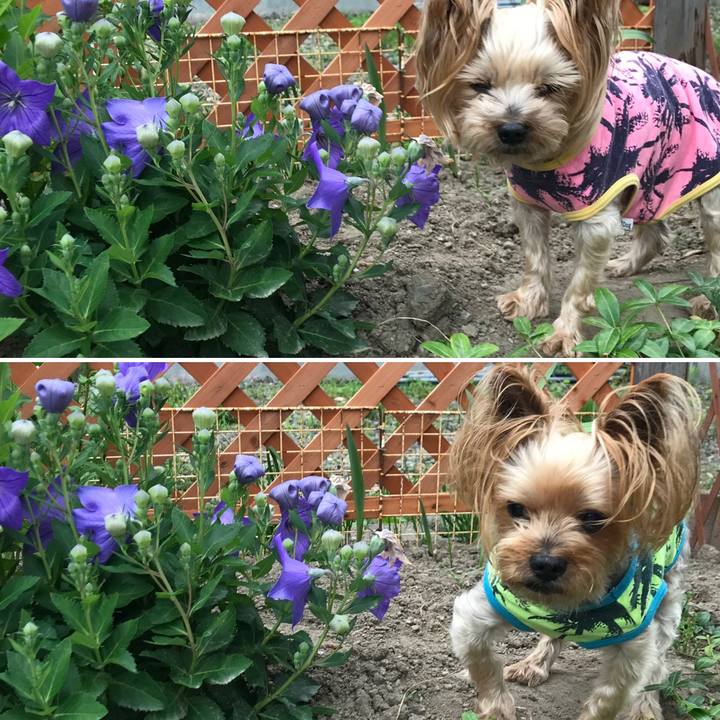 C4974f87 9472 44b1 8561 53b8859f73e9 1626431019346