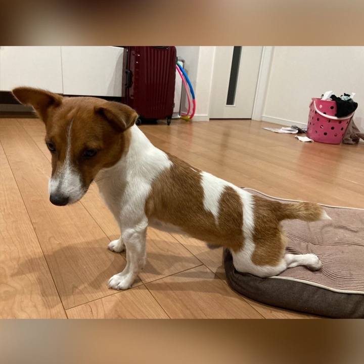 C4975d6f b49d 4efb 8712 135f20eb9a25 1666262341598