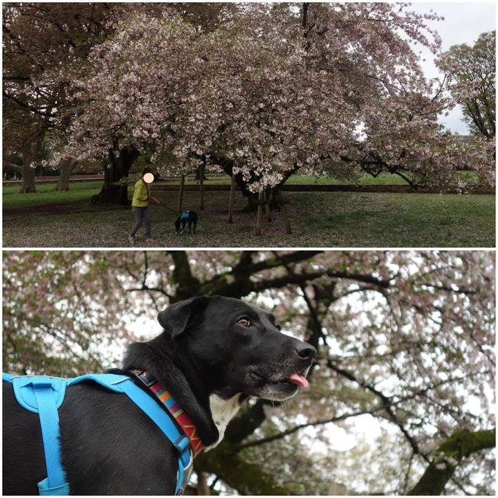 C49774b8 68da 4435 b2f8 eb7bf2b4b264 1617581661622