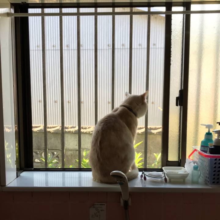 C497d787 f2bf 47bd a265 311e4cbb1488 1557409905397