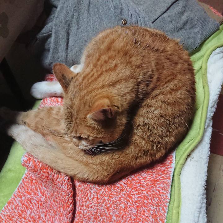 C49820d3 dc6b 487a 94c5 6238092c2ed4 1579825084891