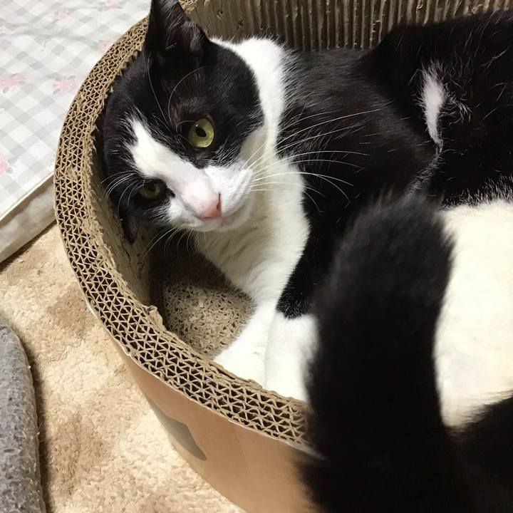 C498512b 705e 4554 a395 c986c42d3587 1730017968897