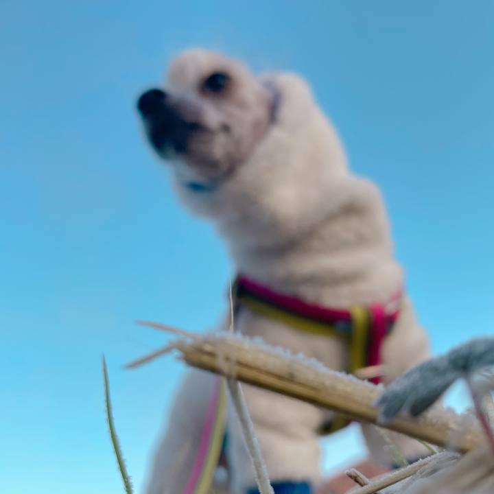 C4985a41 0a2a 47ce 9fb6 06ed55266a83 1764462924112