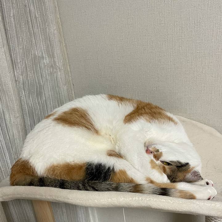 C498aa3c aadc 478c af8c 8b877a26bfd7 1613826736730