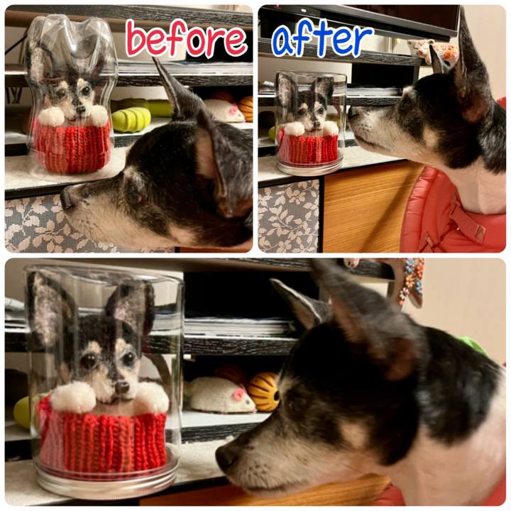 C498c81c c800 4ea9 a4f2 60136c74121a 1637057846882