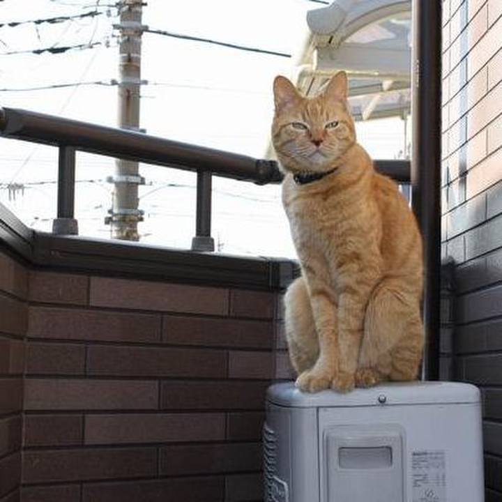 C498d289 9ab9 4140 a188 68669c96bc3c 1764200991217