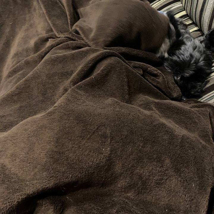 C49912cd 4943 4eb9 8cb5 a767cbf67881 1611832408673